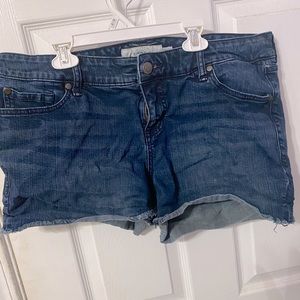 Sz. 16 Torrid Short Shorts